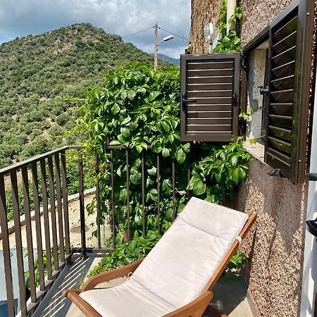Studio Terrasse Vue Mer Clim Wifi Parking Partinello Kültér fotó